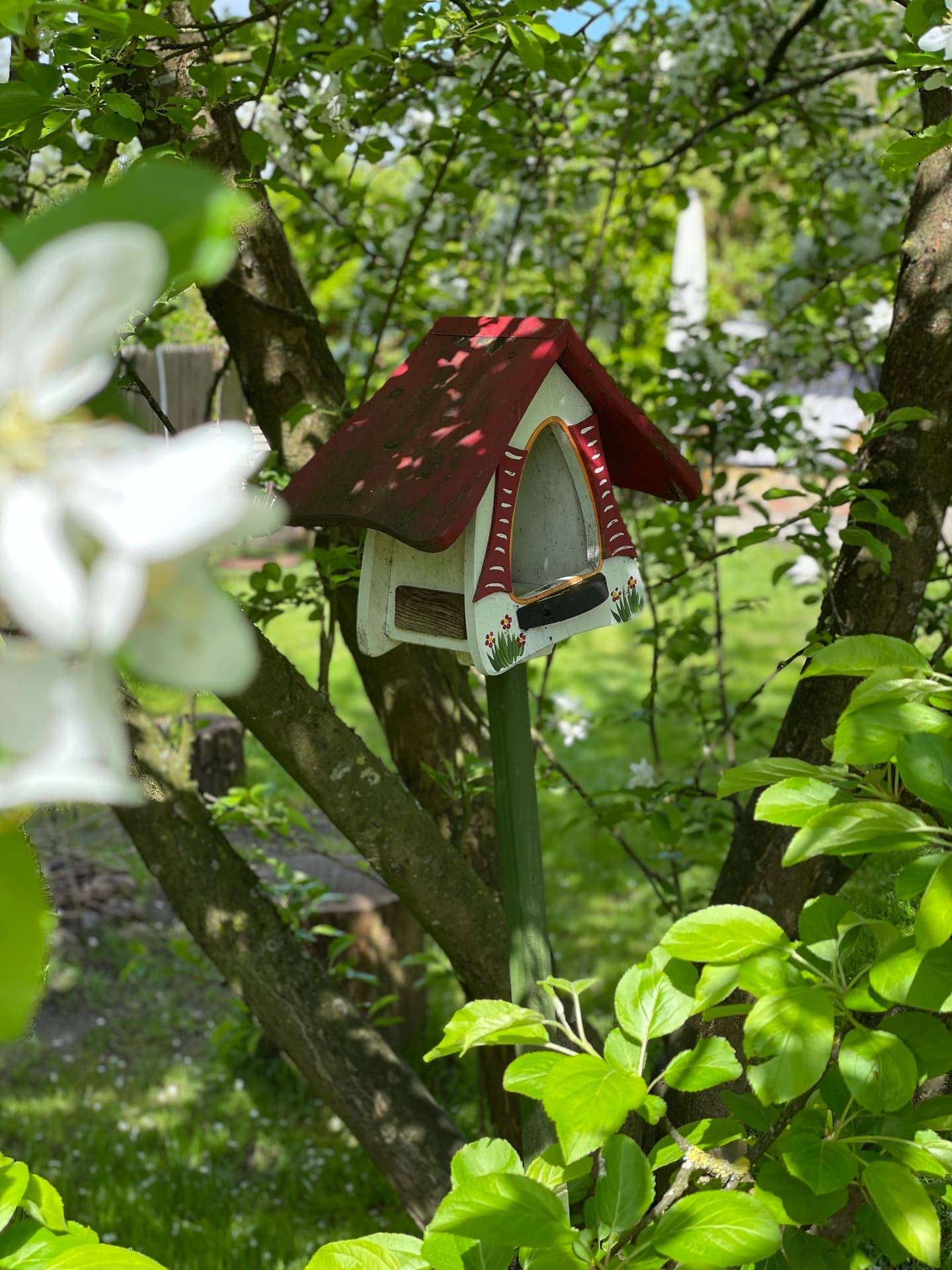 Vogelhaus im Baum
