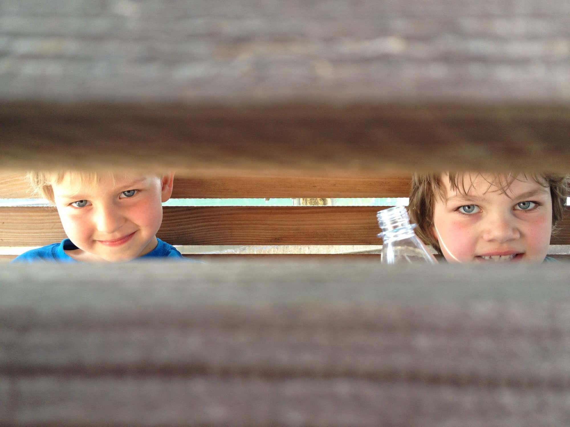 Zwei Kinder gucken lachend durch einen Holzzaun im Garten von Tammy's Kids