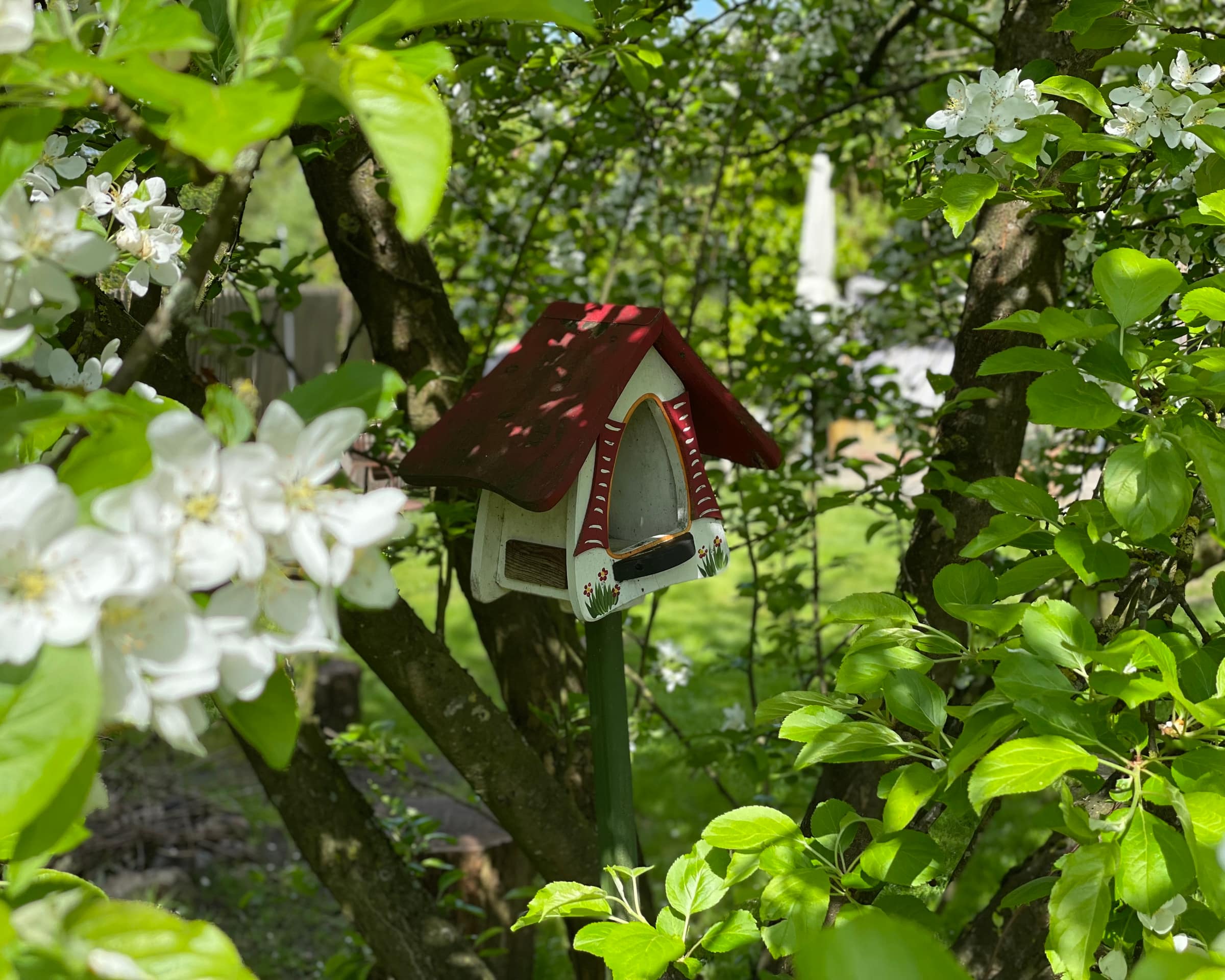 Insektenhotel zwischen blühenden Apfelbaumzweigen im Garten von Tammy's Kids